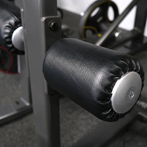 Купить Силовой тренажер Anyfit Вертикальная тяга на свободных весах T02 в Москве