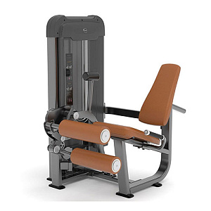 Купить Силовой тренажер Anyfit Сгибание/разгибание ног сидя PS04-123 в Москве