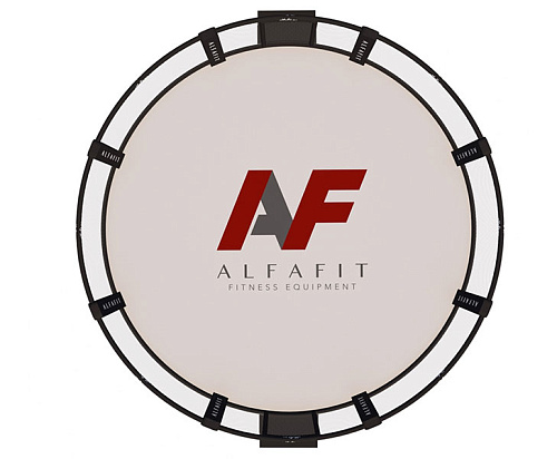 MMA Арена тренировочная AlfaFit на помосте высотой 0,5 м