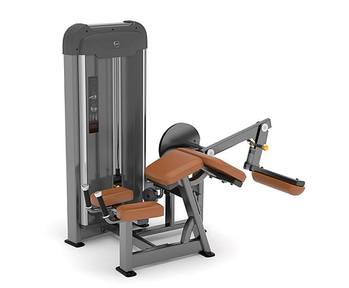 Купить Сгибание ног Anyfit PE203-66 в Москве