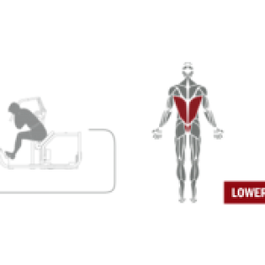 Купить Грузоблочный тренажер Spirit Fitness DWS172-U2 Пресс-машина/разгибание спины в Москве