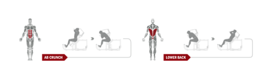 Пресс-машина / разгибание спины Spirit Fitness DWS172-U2 фото4