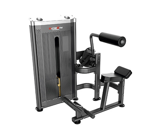 Купить Пресс / спина Ultra Gym UG-IN1995 в Москве