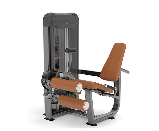 Сгибание/разгибание ног сидя Anyfit PS04-96