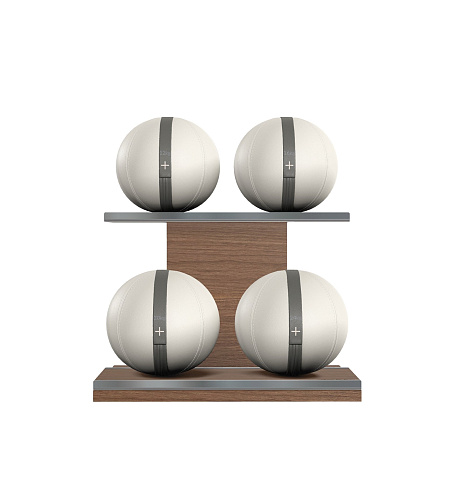 Набор медболов со стойкой Pent MOXA Power