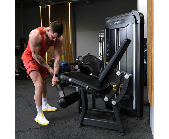 Разгибание ног Anyfit PE201-96 фото3