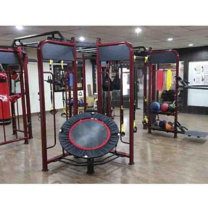 Купить Многофункциональный комплекс Pangolin Fitness SYNERGY 360S cтанция для функционального кругового тренинга в Москве