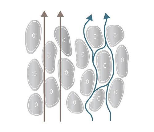 Анализатор состава тела InBody 970