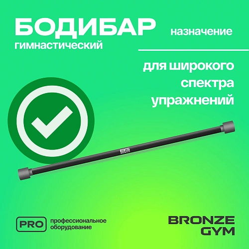 Гимнастическая палка бодибар Bronze Gym, 8 кг