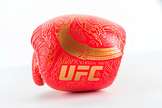 Перчатки для бокса UFC PRO Thai Naga 14 Oz красные фото14