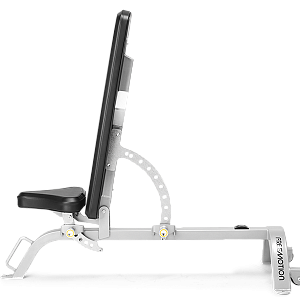 Купить Freemotion Fitness Epic EF203 в Москве