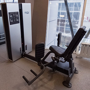 Купить Силовой тренажер Kraft Fitness Сведение/разведение ног KFDXHAA в Москве