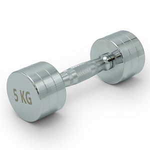 Купить Unix Fit PRO гантель круглая хромированная 5 кг / шт. в Москве