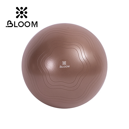 Купить Мяч для йоги Bloom LB7051/55/BN 55 см коричневый в Москве