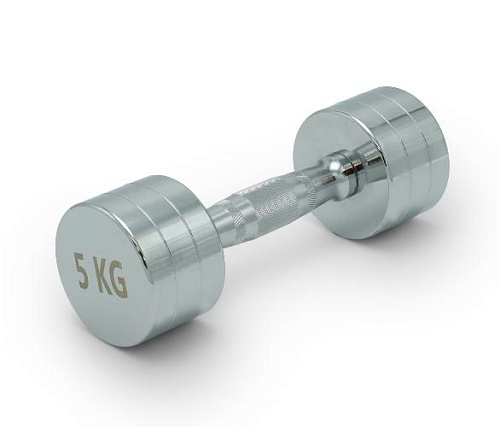 Гантель круглая хромированная Unix Fit PRO 5 кг / шт.