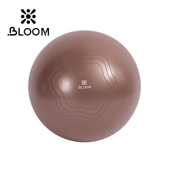Мяч для йоги Bloom LB7051/55/BN 55 см коричневый