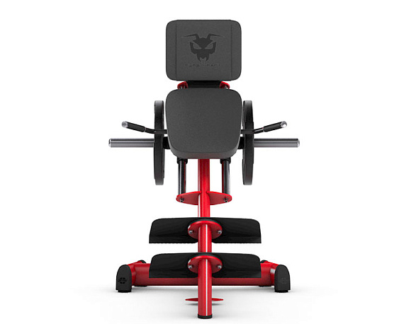 Гак-машина под углом 55° Gym80 4345 фото2