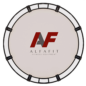 Купить AlfaFit MMA Арена тренировочная на техническом помосте высотой 0,3 м в Москве