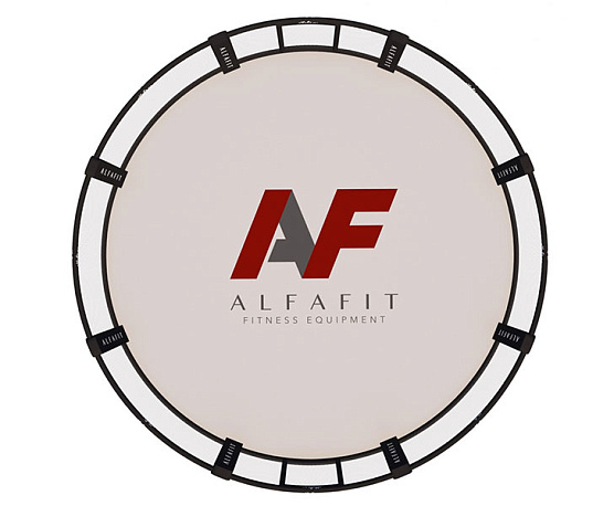 MMA Арена тренировочная AlfaFit на техническом помосте высотой 0,3 м фото2