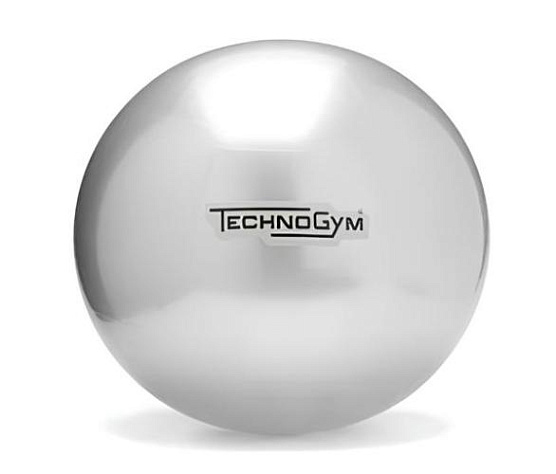 Мяч для фитнеса Technogym Wellness Ball 55 см