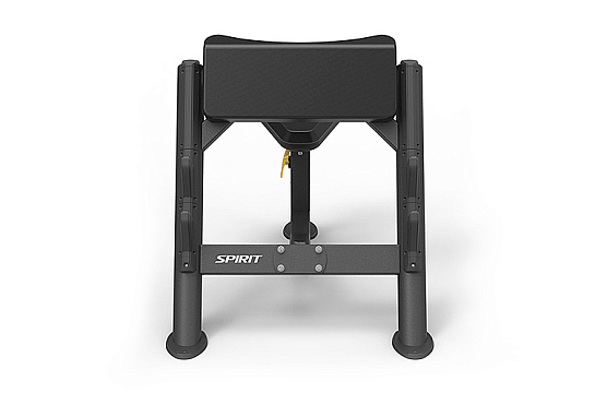 Скамья Скотта Spirit Fitness SP-4206 фото1