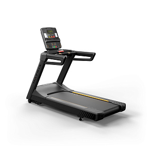 Беговая дорожка Matrix Fitness Беговая дорожка Matrix Endurance GT LED