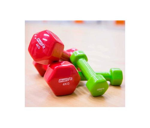 Гантель в виниловой оболочке Original FitTools PROFI-FIT 1 кг