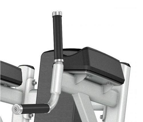 Пресс / Брусья Precor Discovery Line DBR 702