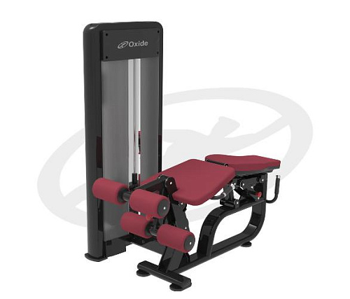 Купить Сгибание ног лежа / Разгибание ног сидя Oxide Fitness D009 в Москве