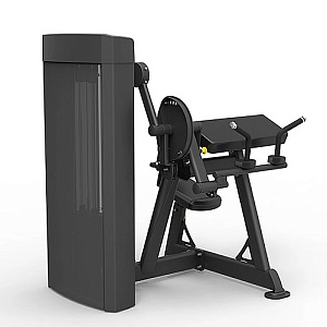 Купить Силовой тренажер Spirit Fitness SP-4607 Бицепс/трицепс сидя  в Москве