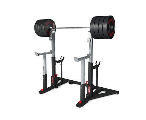 Купить Стойка для приседаний Panatta Powerlifting 1PWL101 в Москве