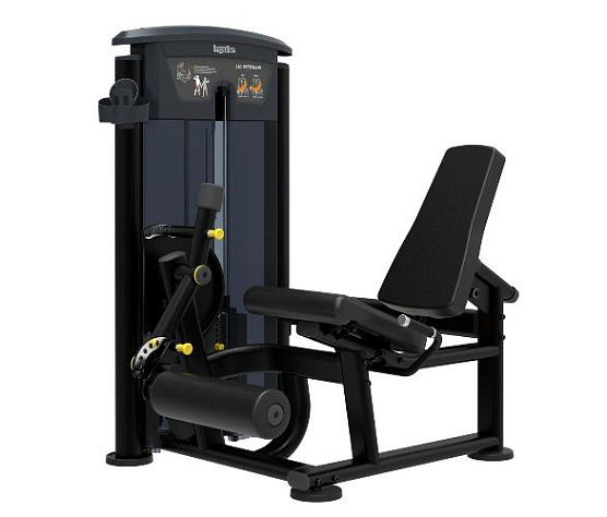 Грузоблочный тренажер на нижнюю часть тела Aerofit Impulse IT9505 Разгибание ног