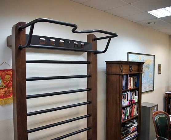 Шведская стенка с удобным турником Desire Eco Base фото1