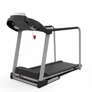 Купить Беговая дорожка DFC Walker Evo Pro T-S1 Pro в Москве