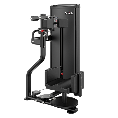 Купить Вращение торса Smith Fitness Excellence DA010 в Москве