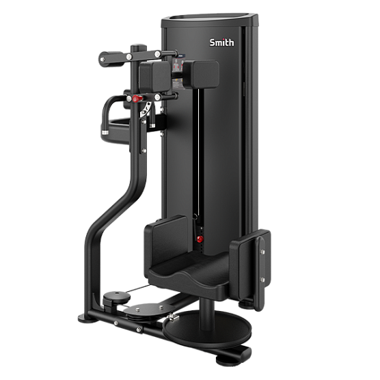 Вращение торса Smith Fitness Excellence DA010