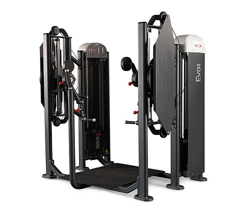 Независимый бицепс/трицепс стоя Panatta Fit Evo 1FE155 Купить Независимый бицепс/трицепс стоя Panatta Fit Evo 1FE155 в Москве