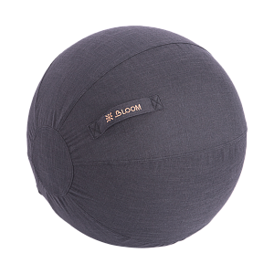 Купить Чехол для мяча Bloom LB7129/BK 65см в Москве