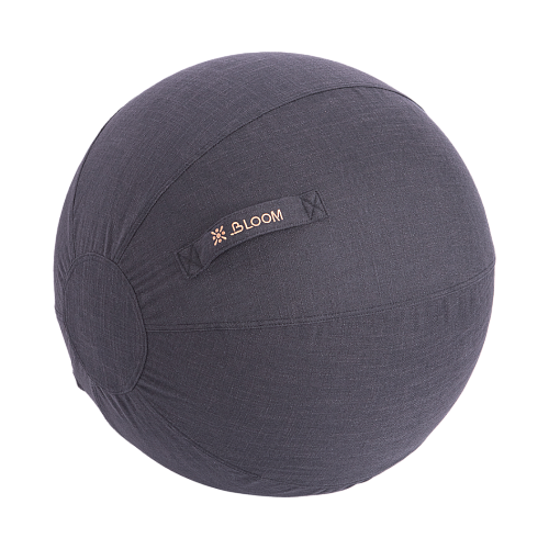 Купить Чехол для мяча Bloom LB7129/BK 65см в Москве