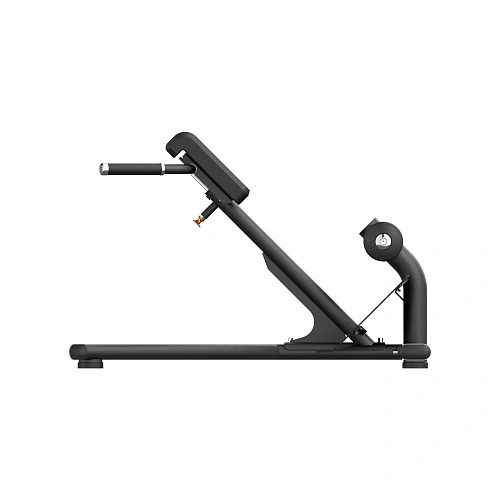 Гиперэкстензия Smith Fitness Excellence RE6010