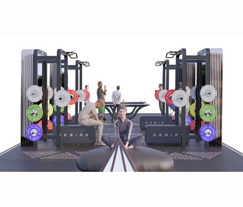 Уличный комплекс Desire Gym Portal