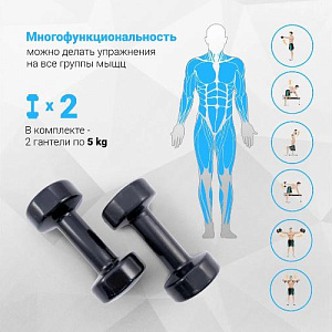 Купить Livepro Гантели цветные LP8076-5 (пара) в Москве