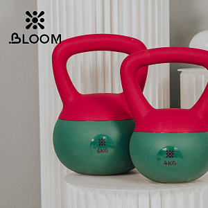 Купить Гиря мягкая Bloom 4кг LB7012/04/RD красный-зеленый в Москве