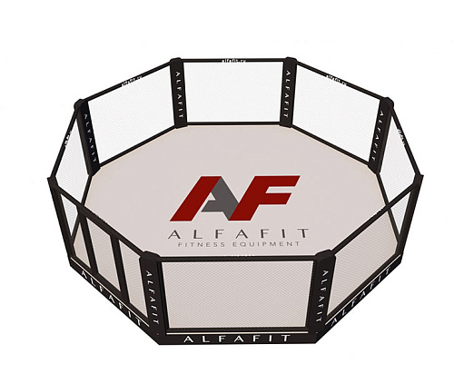 Октагон тренировочный AlfaFit на техническом помосте высотой 0,3 м