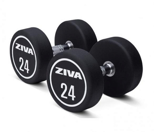 Купить Гантели уретановые Ziva ZXP-DBPU-8639-GYWT 20 кг (пара) в Москве