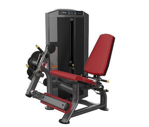 Купить Разгибание ног сидя True Fitness SPL-0100 в Москве
