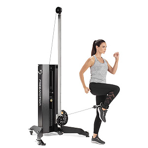Купить Многофункциональный грузоблочный тренажер Freemotion Fitness Genesis G625 Передвижная мультистанция в Москве