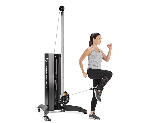 Передвижная мультистанция Freemotion Fitness Genesis G625