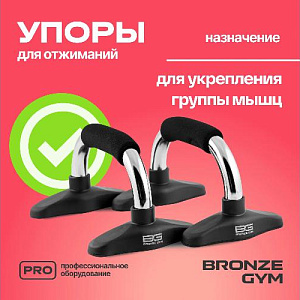 Купить Уличный комплекс Bronze Gym Упоры для отжиманий пара в Москве