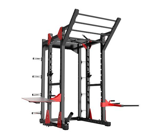 Купить Силовая рама Protrain PP1101 (PP201) в Москве